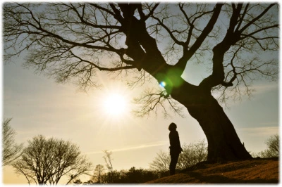 %C0%CC%BE%DF%B1%E2.jpg?type=w2