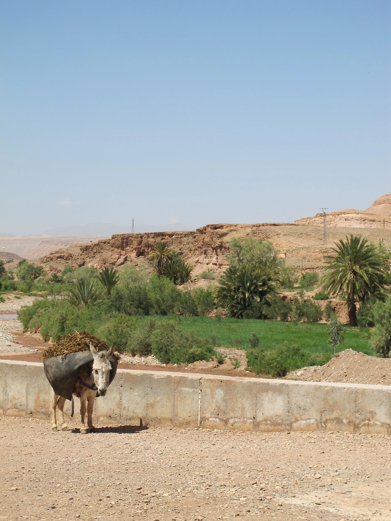 [5-80] 아이트 벤 하두(Ait ben haddou)를 가는 다리위의 당나귀.JPG