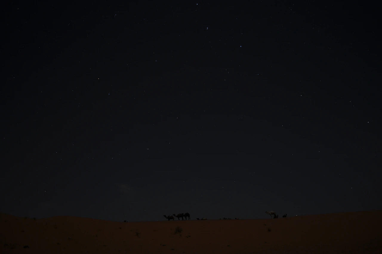 [5-102] 사하라 사막의 어둠 속 별빛.JPG