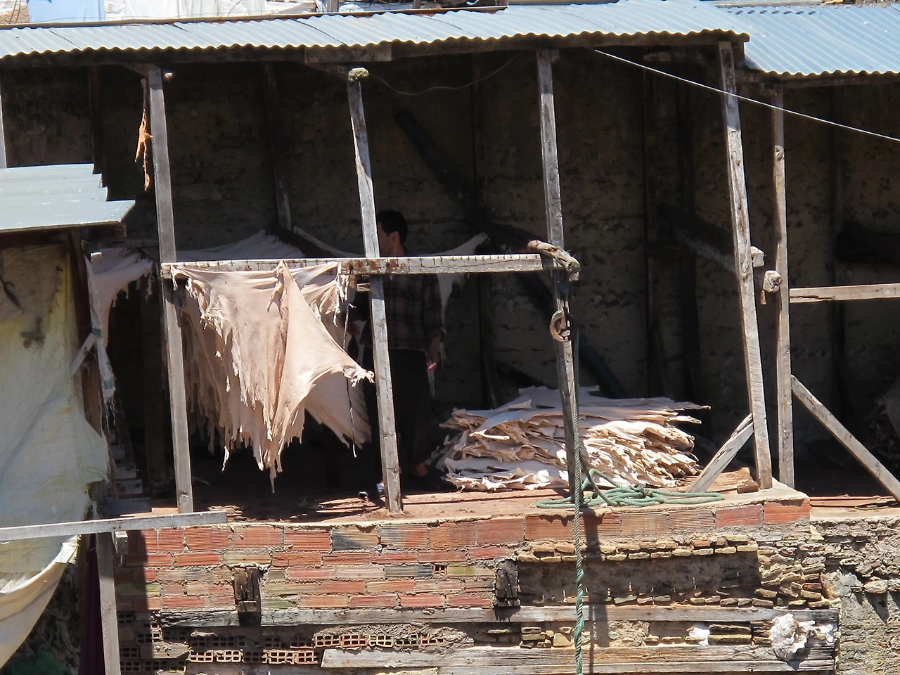 [5-54] 뜨거운 모로코 태양에 말려지는 가죽들.JPG