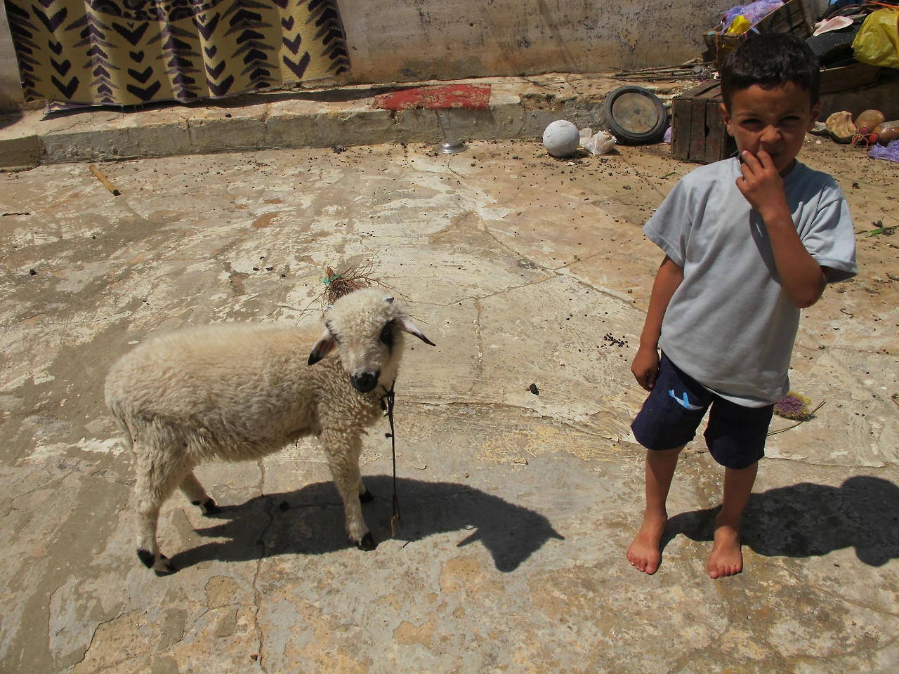 [4-23] 양순이와 주인집 아들.JPG