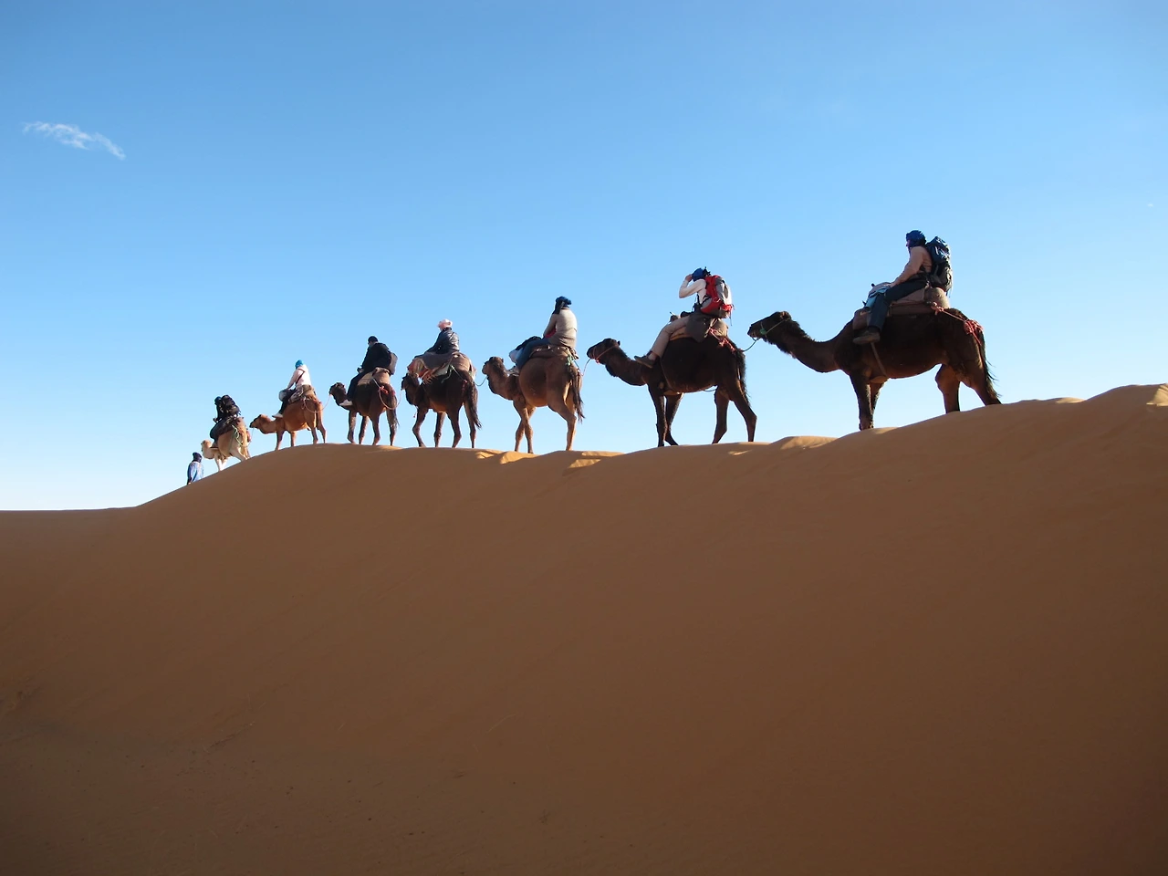 [5-97] 낙타를 타고 사하라 사막으로 가는 길.JPG