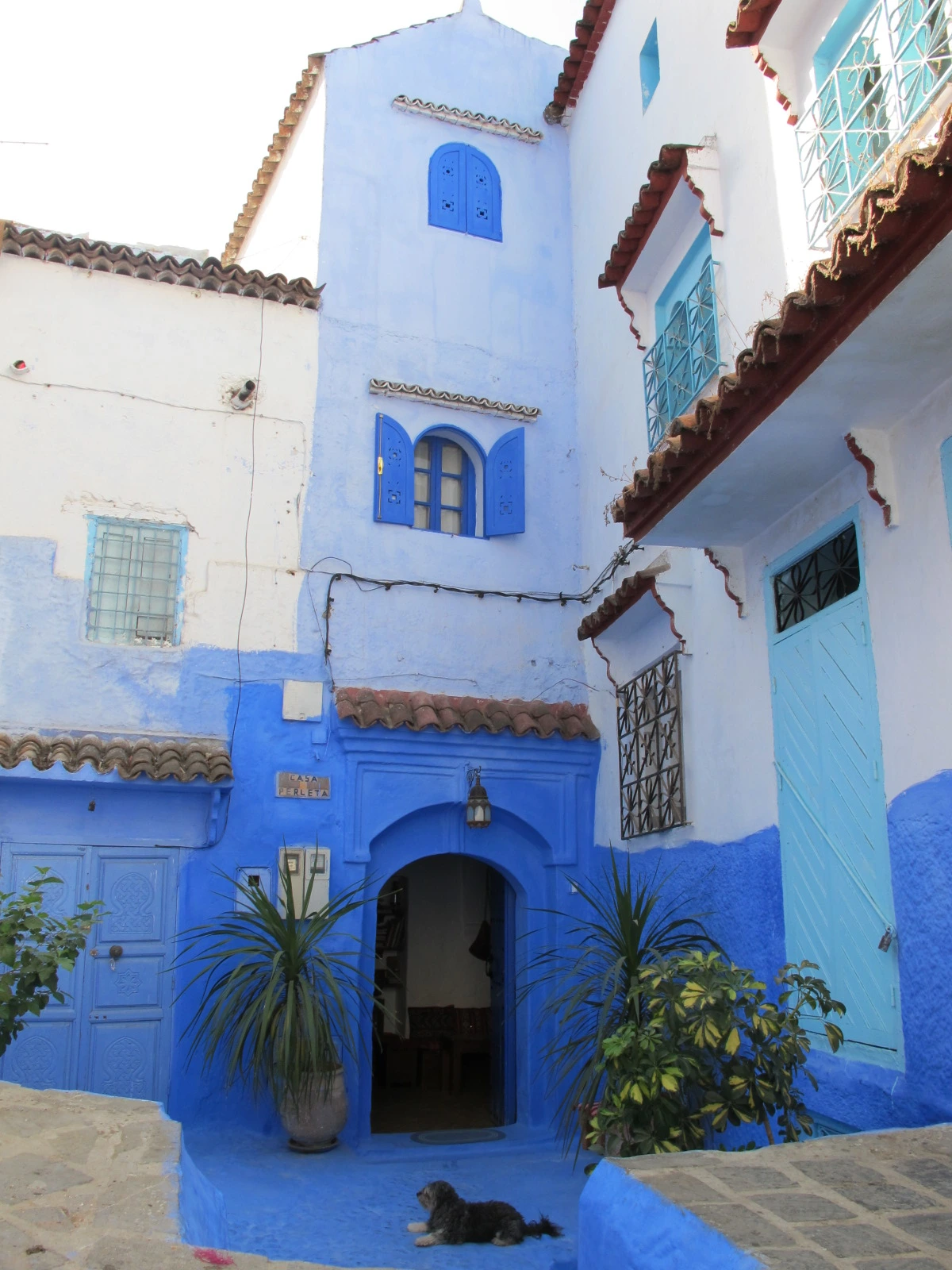 [5-41] 파란 나라 쉐프샤우엔(Chefchaouen) 메디나 풍경 4.JPG