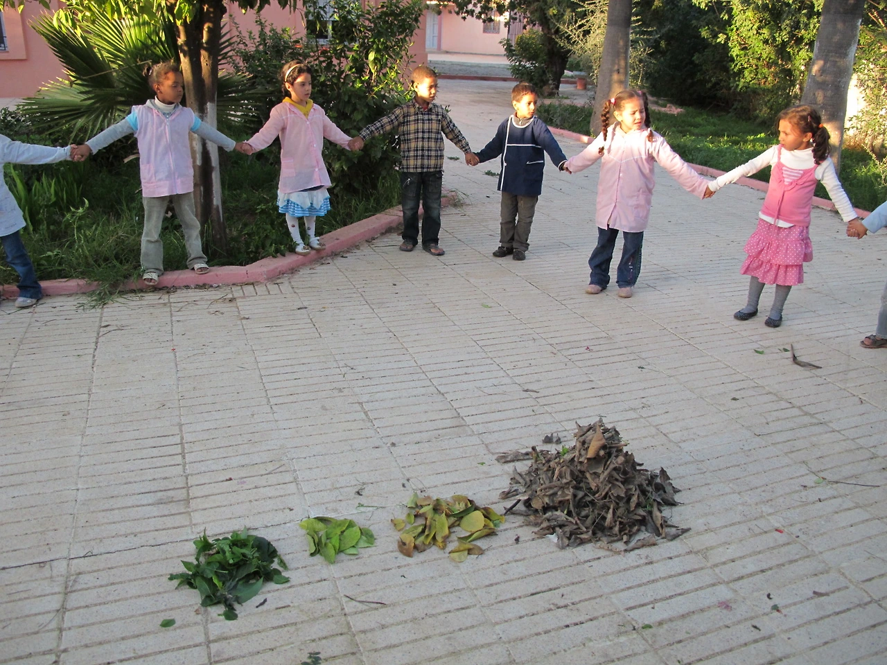 [3-44] 나뭇잎들을 모아 분류해보기.JPG