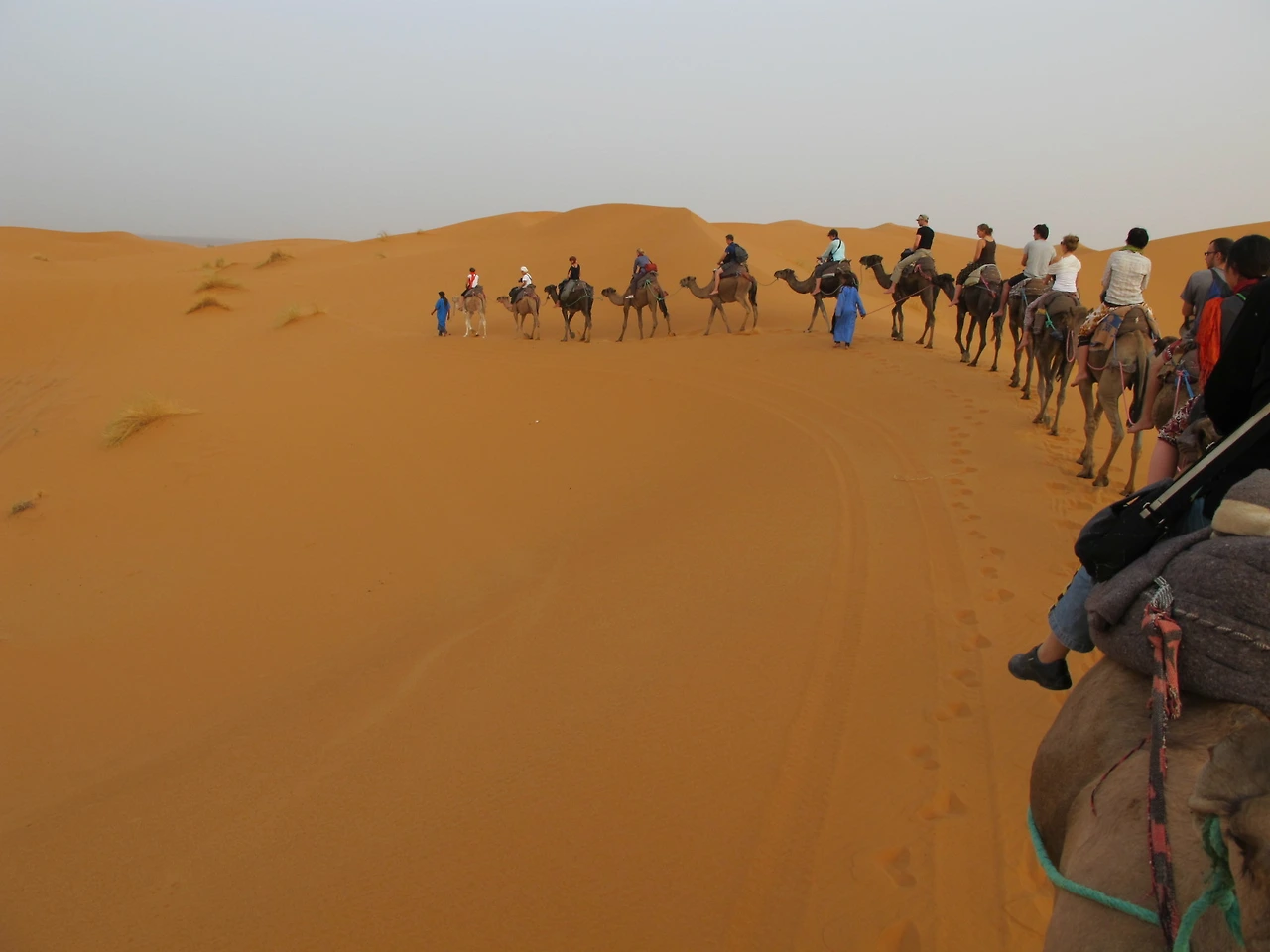 [5-106] 사하라 사막을 나오는 길 위에서.JPG