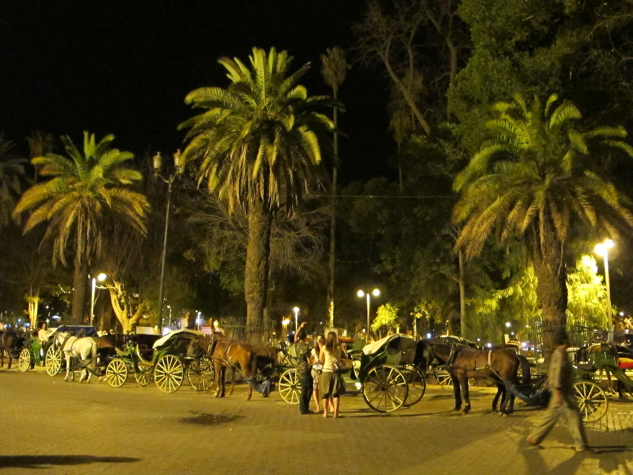 [5-70] 자말 엘프나 광장 입구 관광객들을 기다리는 마차들.JPG