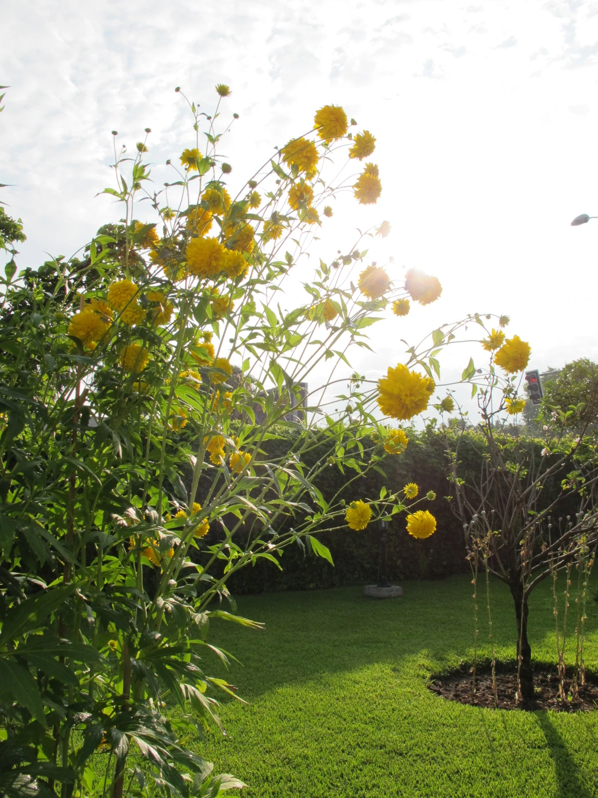 [3-10] 아이들 가슴 속 꿈의 꽃을 피울 그날을 위해 2.JPG