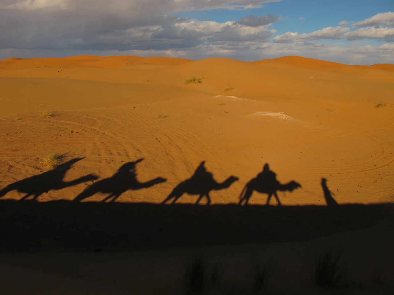 [5-1] 모로코의 사하라 사막을 걷는 낙타들.JPG