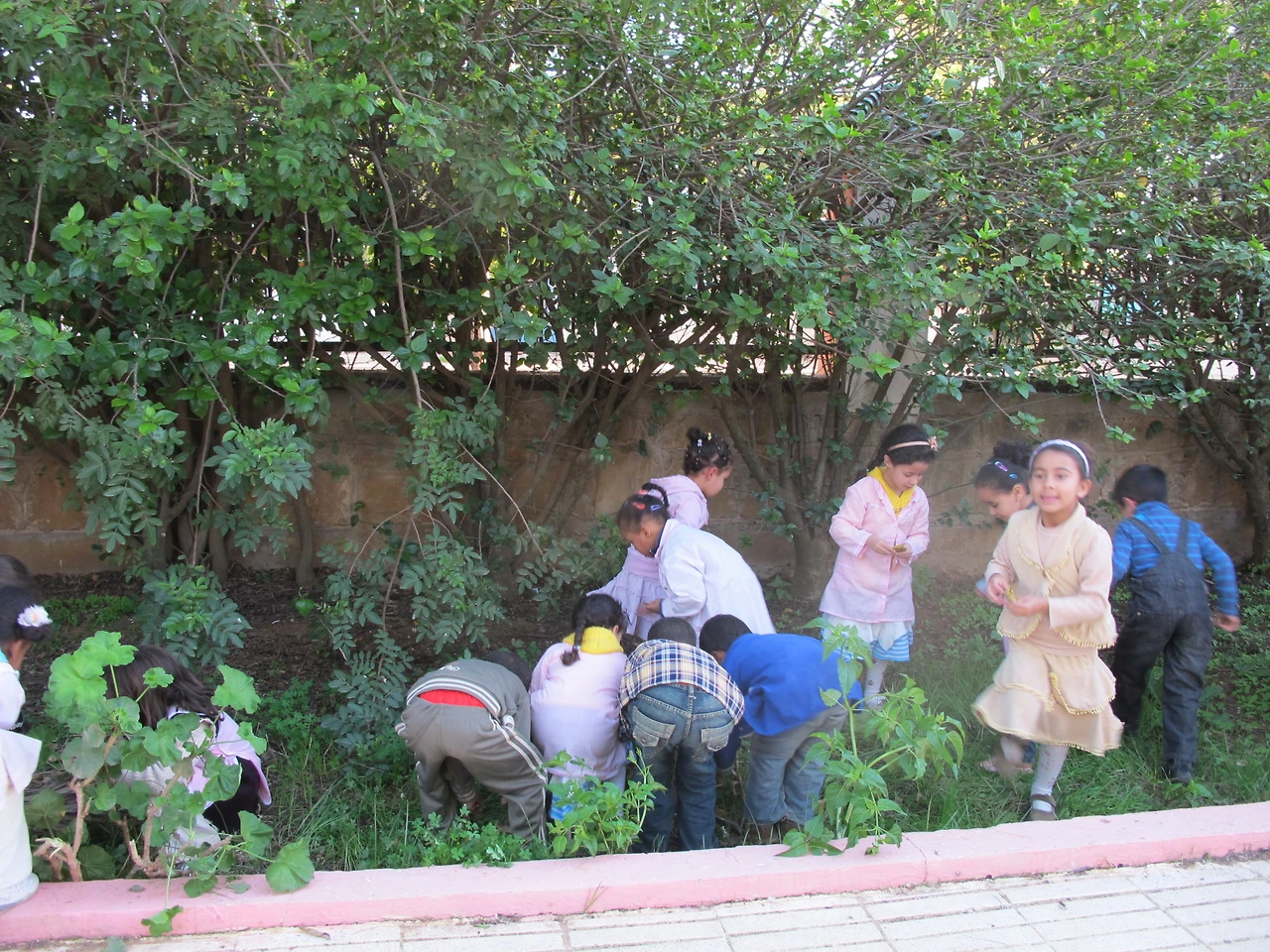 [3-43] 유치원 뒷마당의 나뭇잎을 모으는 아이들 1.JPG