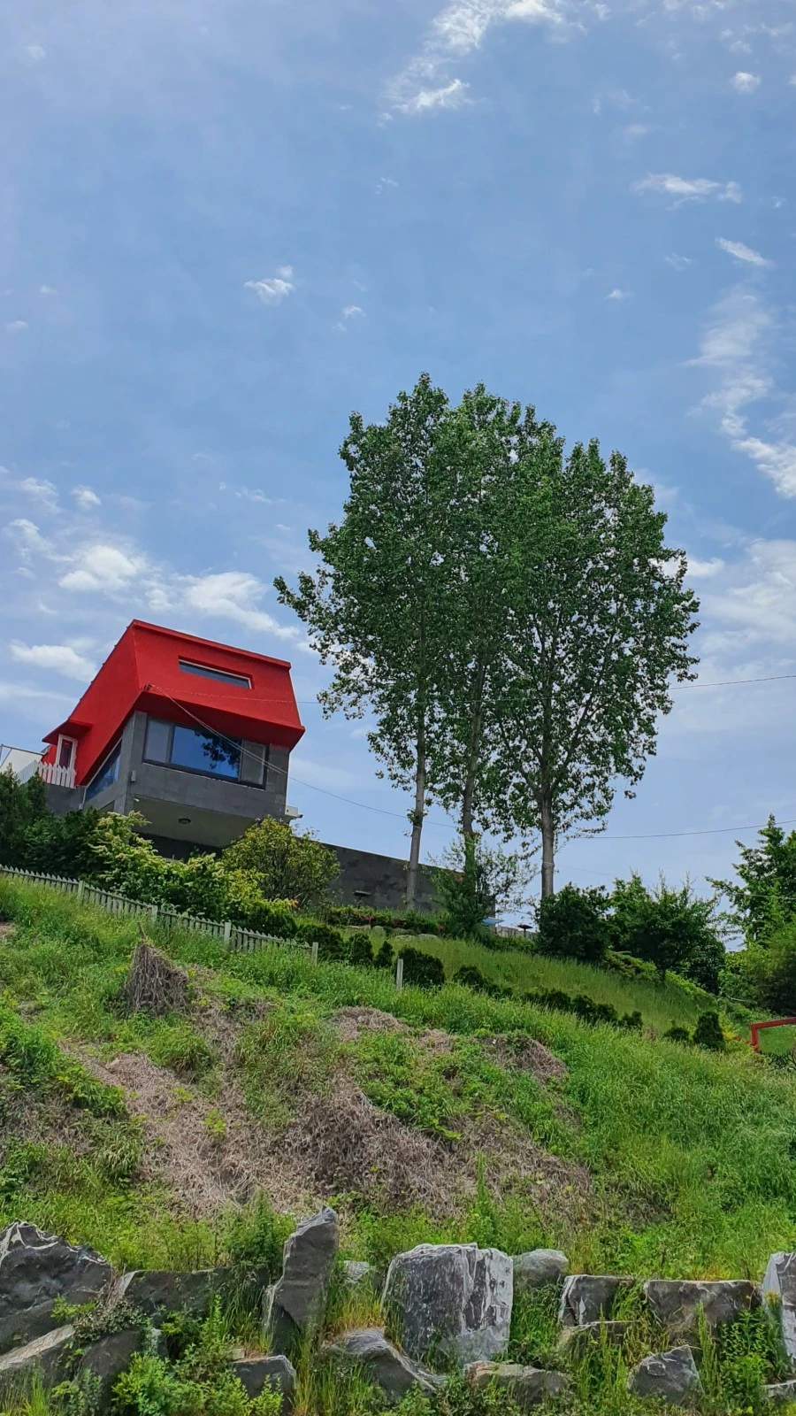 1590200164394.jpg?type=w1