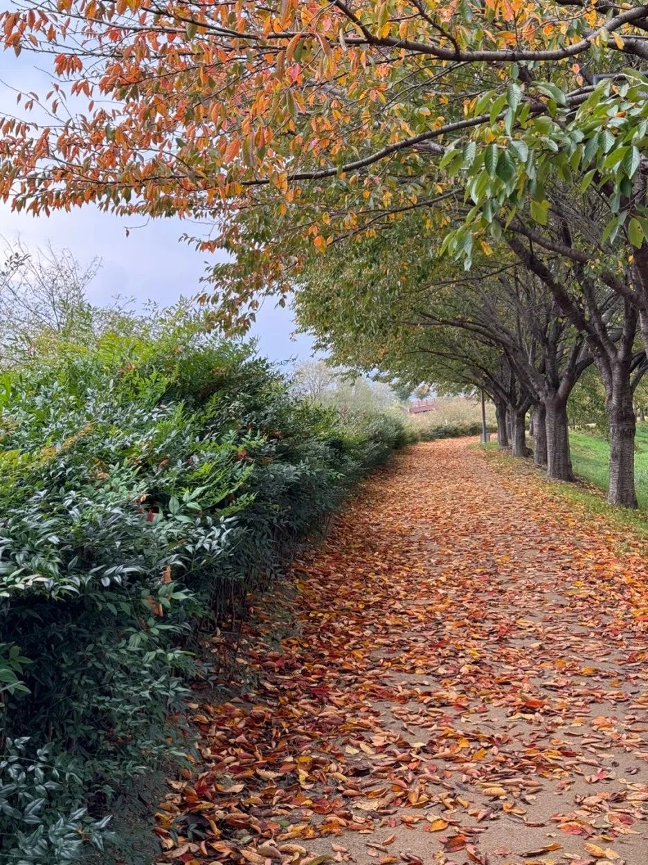 KakaoTalk_20250121_223419634.jpg?type=w1