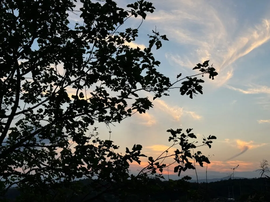 KakaoTalk_20250121_223419634_01.jpg?type=w1