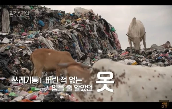 Screenshot 2024-07-01 at 08.34.09.JPG