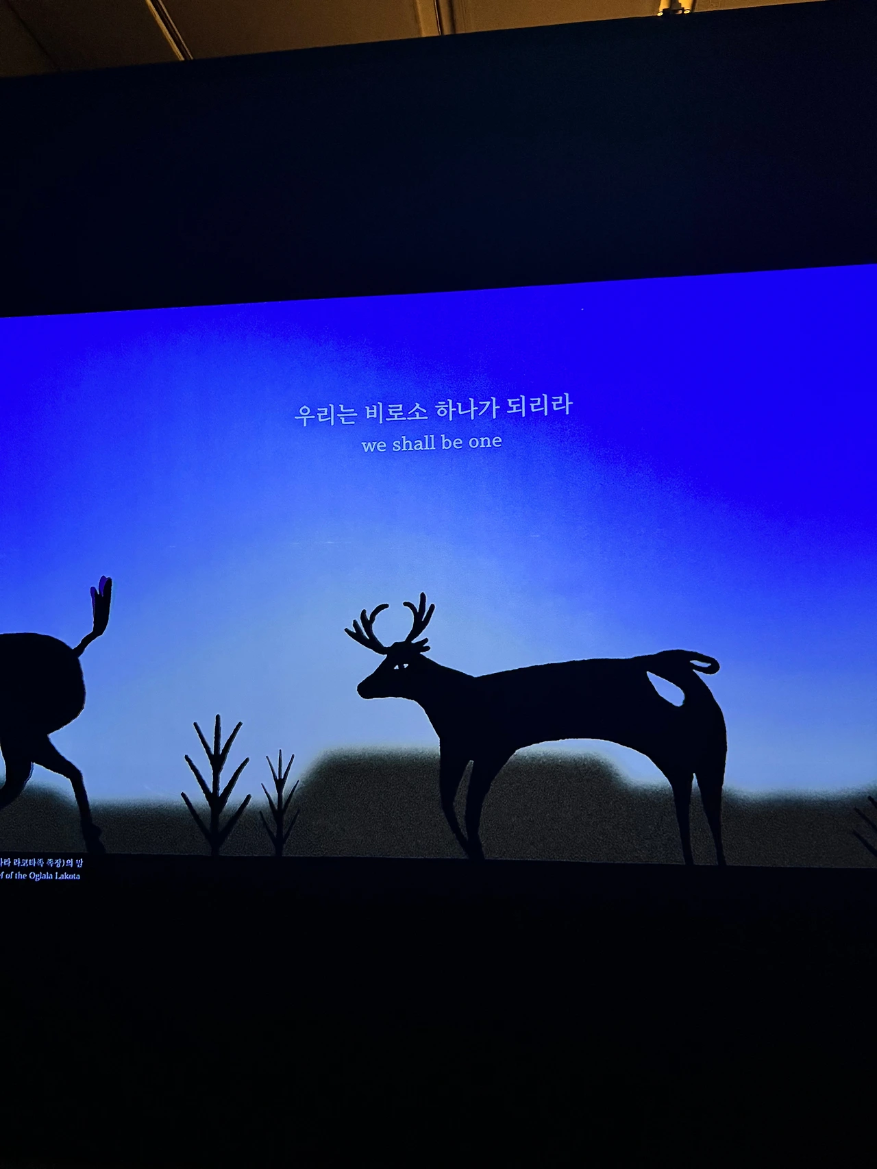 KakaoTalk_Photo_2024-10-27-17-34-04 008.jpeg