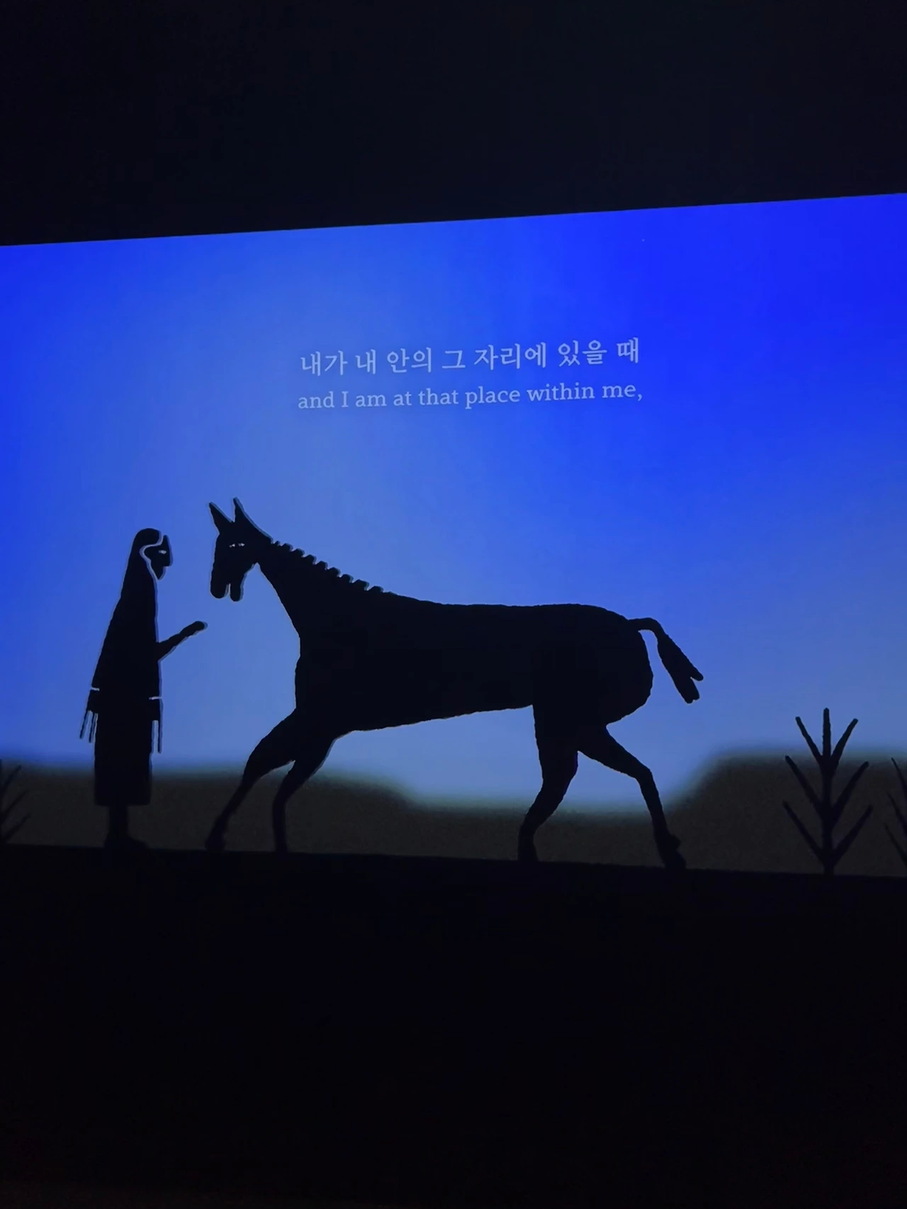 KakaoTalk_Photo_2024-10-27-17-34-04 007.jpeg