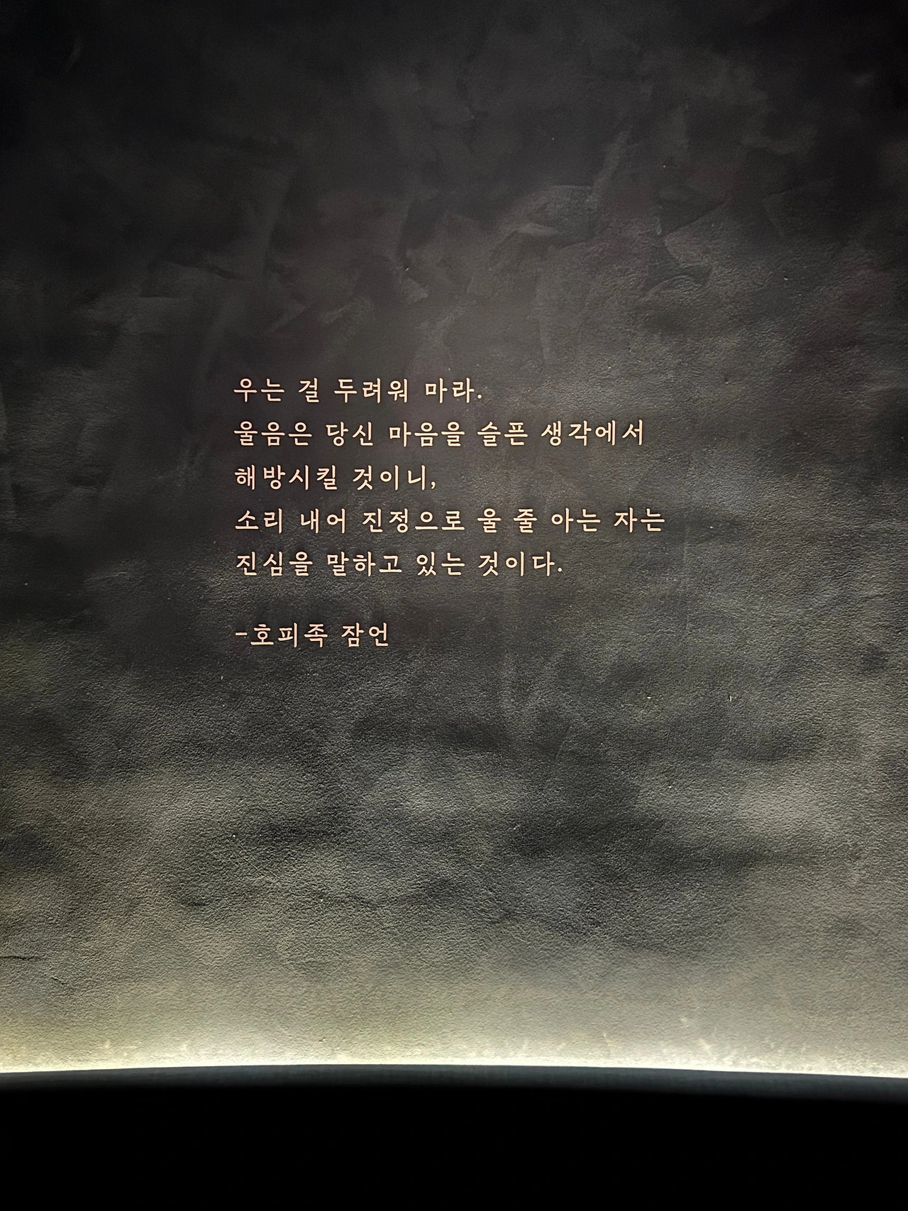 KakaoTalk_Photo_2024-10-27-17-34-32 002.jpeg