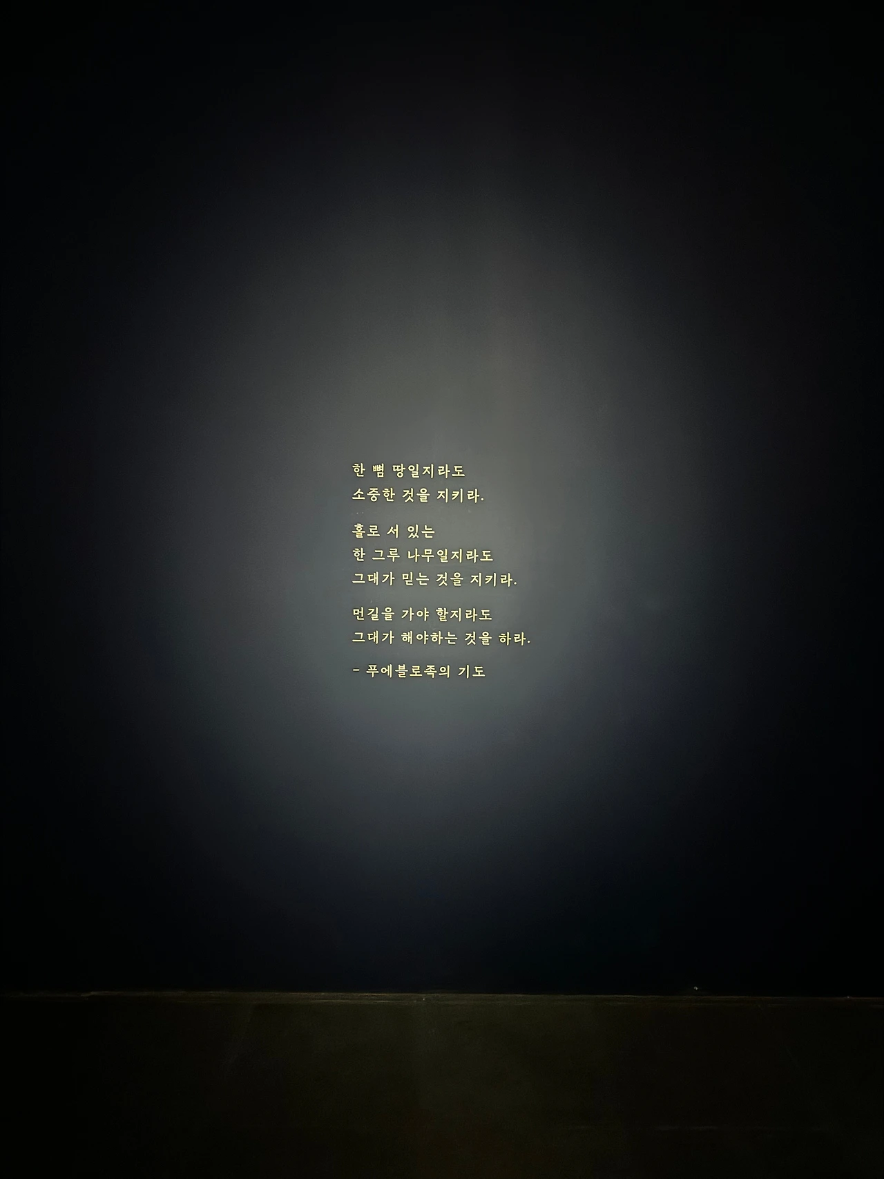 KakaoTalk_Photo_2024-10-27-17-58-26 014.jpeg