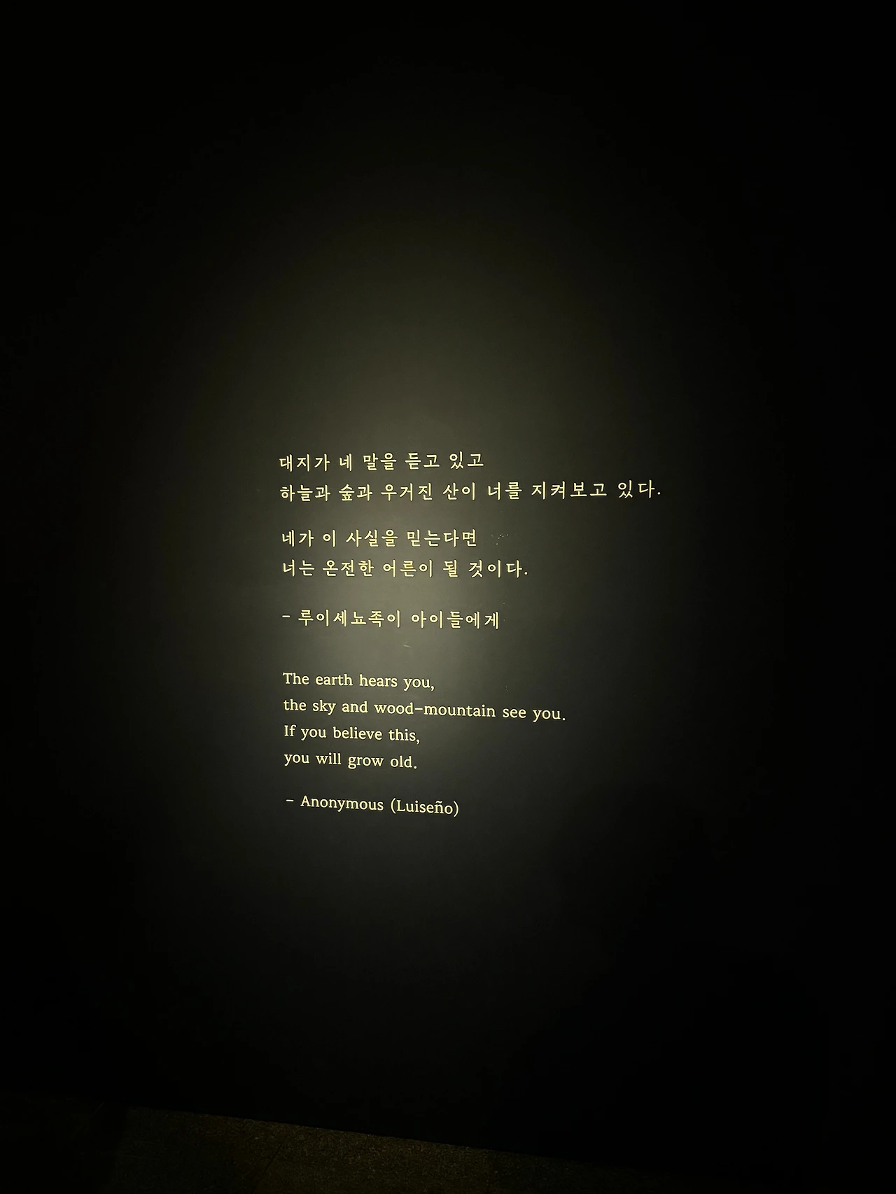 KakaoTalk_Photo_2024-10-27-17-58-26 016.jpeg