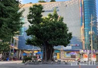 9098_9281_824.jpg?type=w386