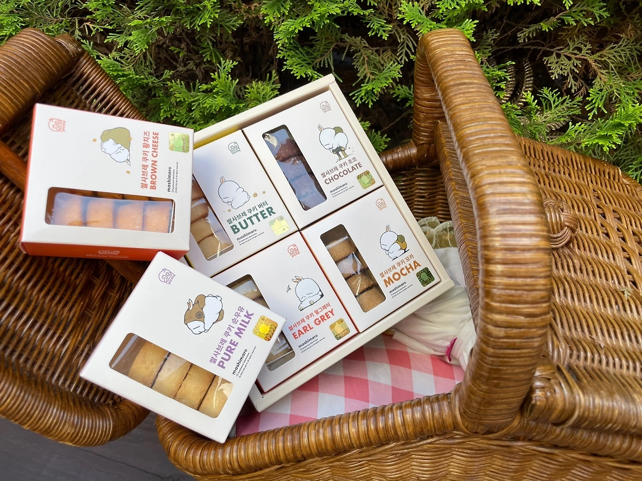 KakaoTalk_Photo_2023-09-08-12-54-51 027.jpeg