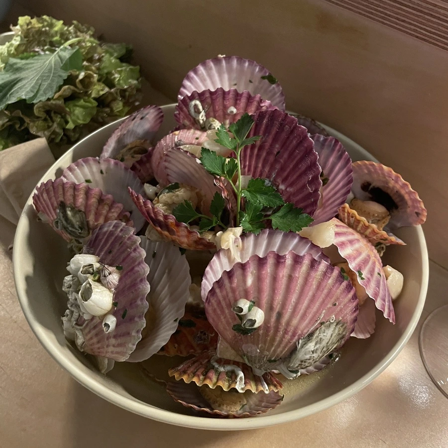 IMG_5264.JPG?type=w966