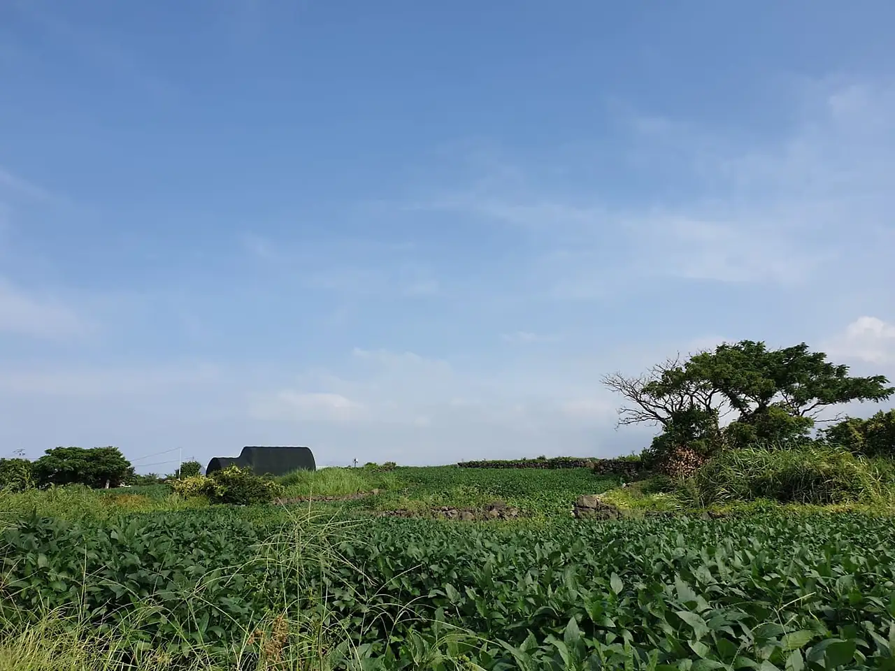 KakaoTalk_Photo_2021-09-20-19-51-12 002.jpeg