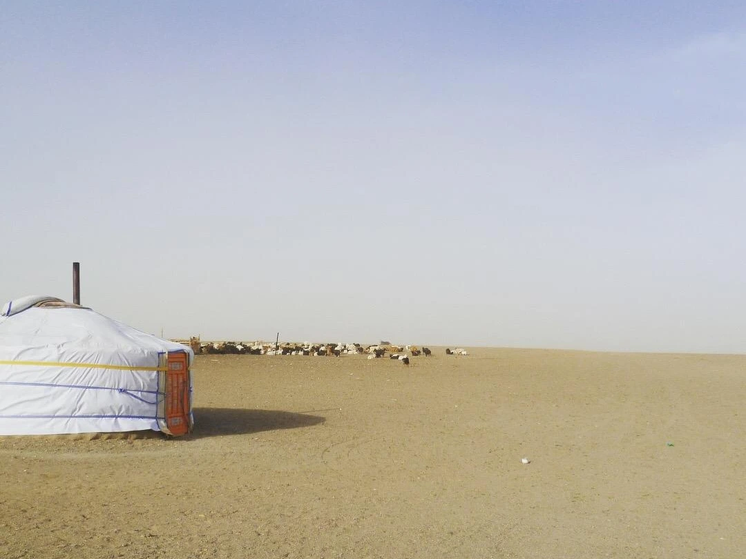 gobi desert.jpeg