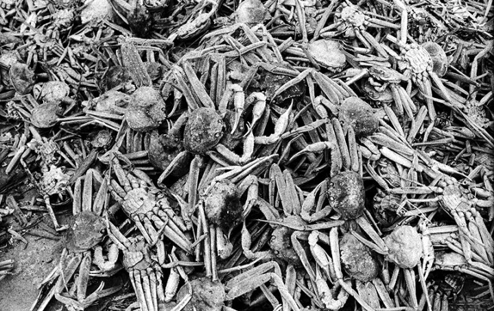 mug_obj_139837466448977172.jpg?type=w1080