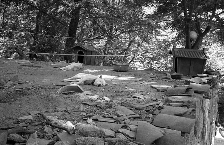 mug_obj_139837643218015642.jpg?type=w1080