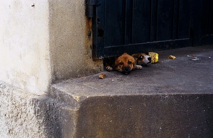 mug_obj_139836518015626774.jpg?type=w1080