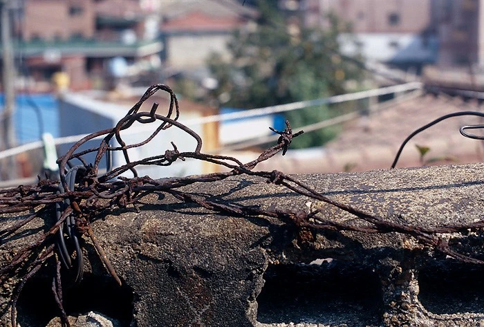 mug_obj_139837003626889266.jpg?type=w1080