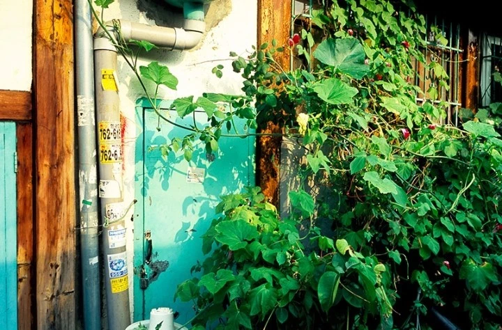 mug_obj_139838830180324888.jpg?type=w1080