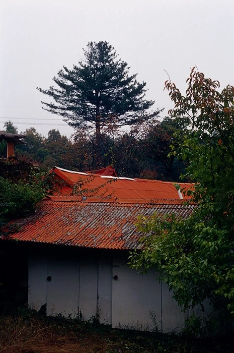 mug_obj_139836932963868783.jpg?type=w1080