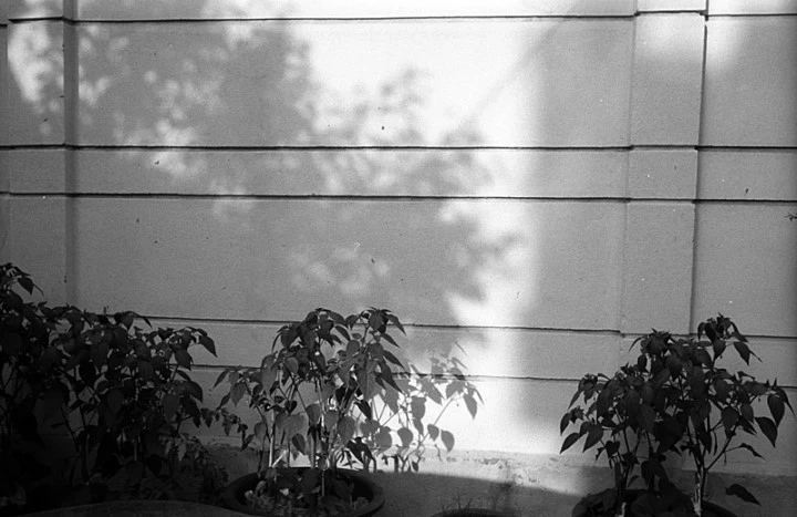 mug_obj_139837687941884357.jpg?type=w1080