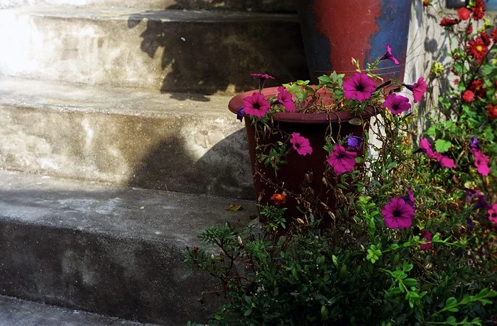 mug_obj_139836505353173480.jpg?type=w1080