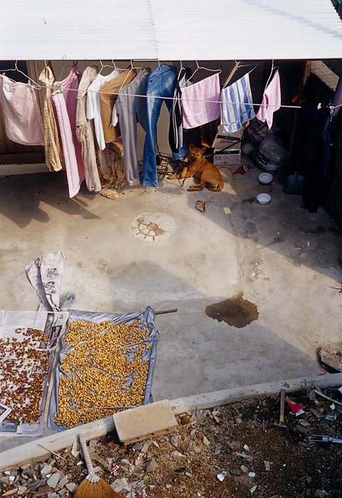 mug_obj_139836541468760137.jpg?type=w1080