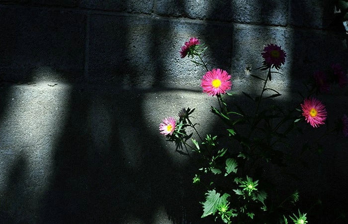 mug_obj_13983706643956440.jpg?type=w1080