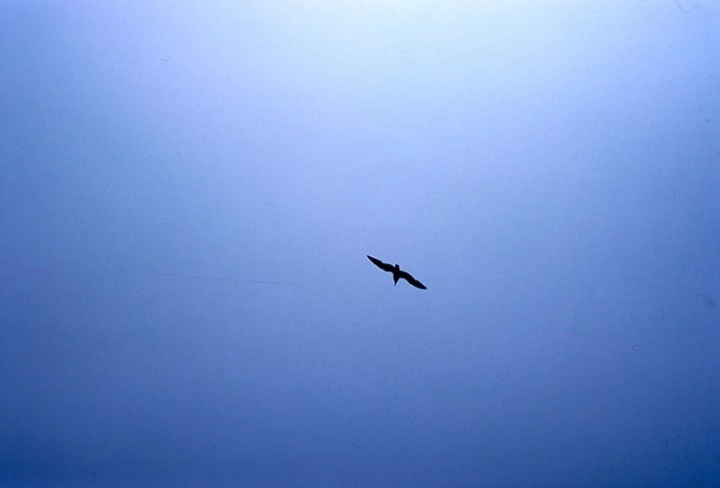 mug_obj_139837026151359824.jpg?type=w1080