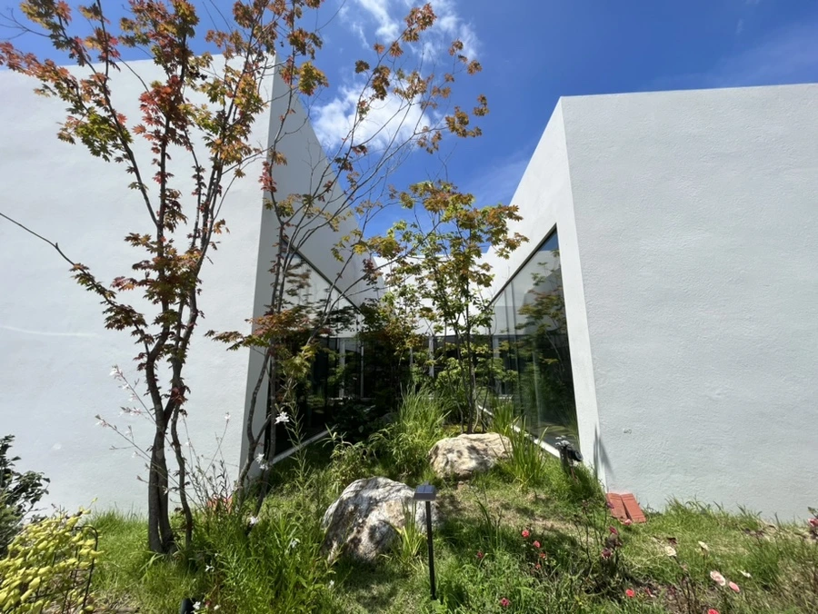 IMG_2850.jpg?type=w1