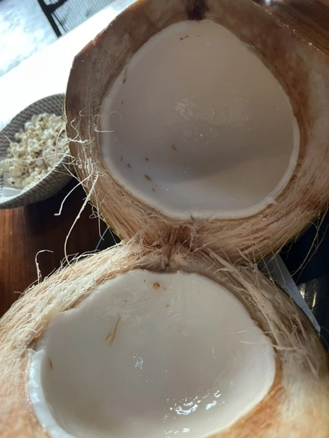 IMG_1319.jpg?type=w1