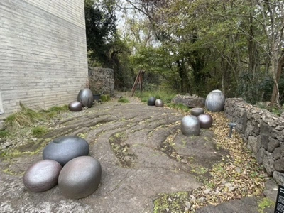 IMG_6243.jpg?type=w1