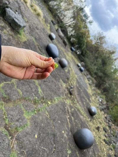 IMG_6252.jpg?type=w1