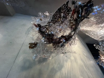 IMG_6259.jpg?type=w1