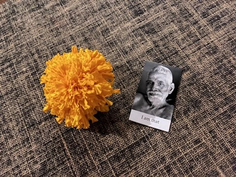 IMG_1746.jpg?type=w1