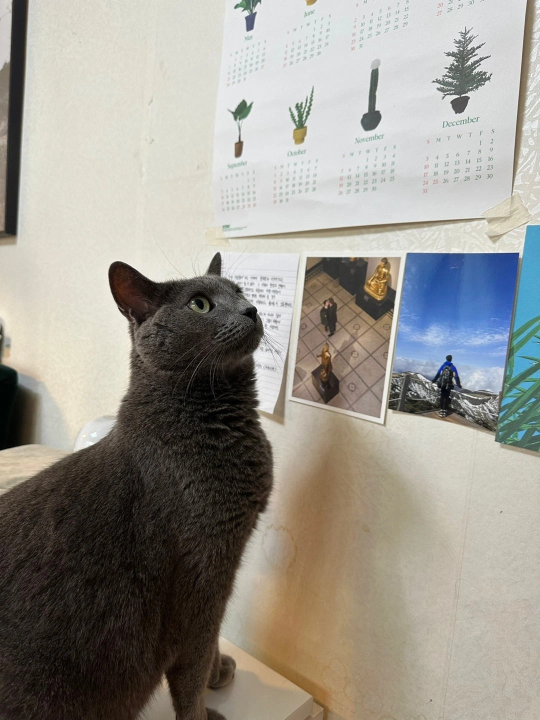 KakaoTalk_Photo_2023-08-28-18-39-51 001.jpeg