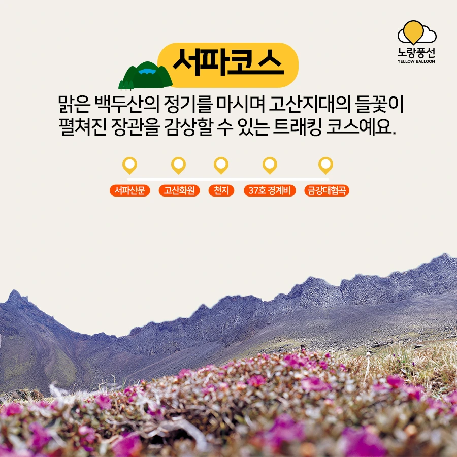 PlayD_%EB%85%B8%EB%9E%91%ED%92%8D%EC%84%A0_SNS%EC%BD%98%ED%85%90%EC%B8%A01001_7.jpg?type=w966