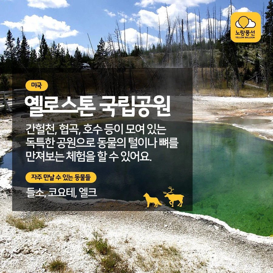 PlayD_%EB%85%B8%EB%9E%91%ED%92%8D%EC%84%A0_SNS%EC%BD%98%ED%85%90%EC%B8%A01012_4.jpg?type=w966