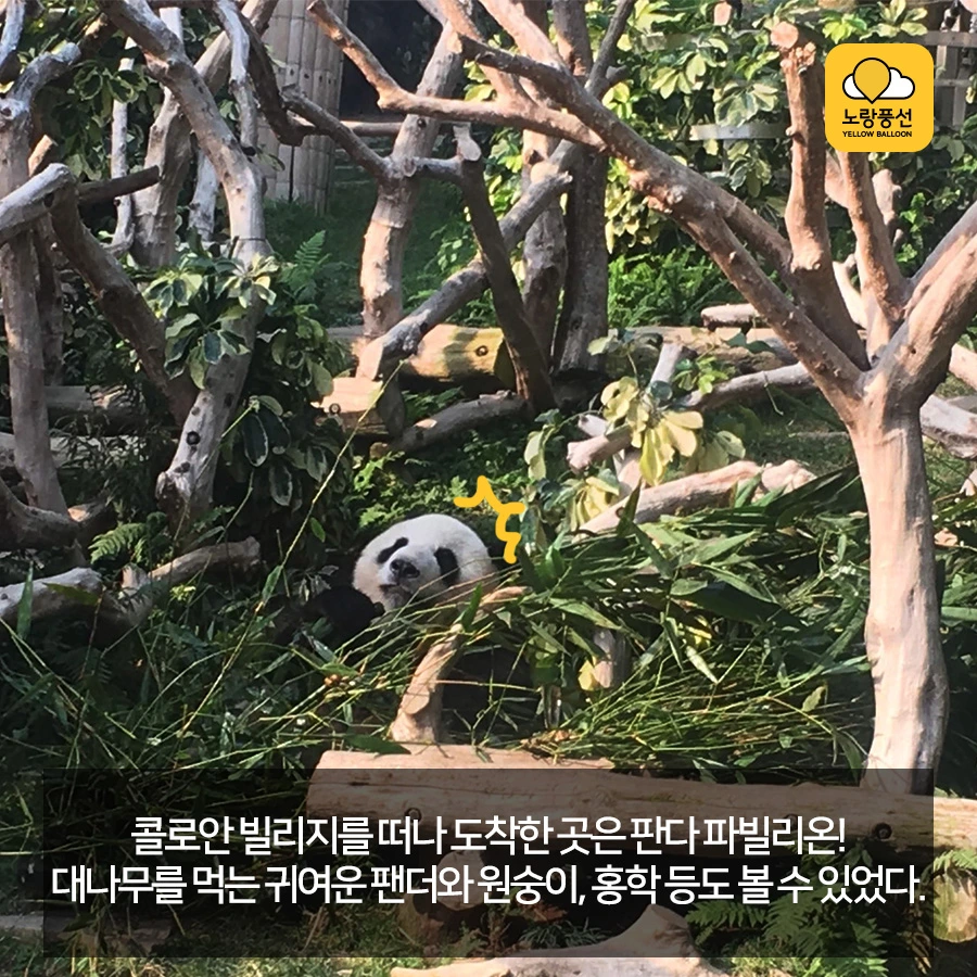 PlayD_%EB%85%B8%EB%9E%91%ED%92%8D%EC%84%A0_SNS%EC%BD%98%ED%85%90%EC%B8%A01005_8.jpg?type=w966