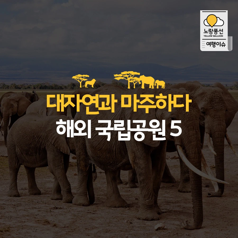 PlayD_%EB%85%B8%EB%9E%91%ED%92%8D%EC%84%A0_SNS%EC%BD%98%ED%85%90%EC%B8%A01012%28%EC%A0%95%EB%B0%A9%ED%98%95%29.jpg?type=w966