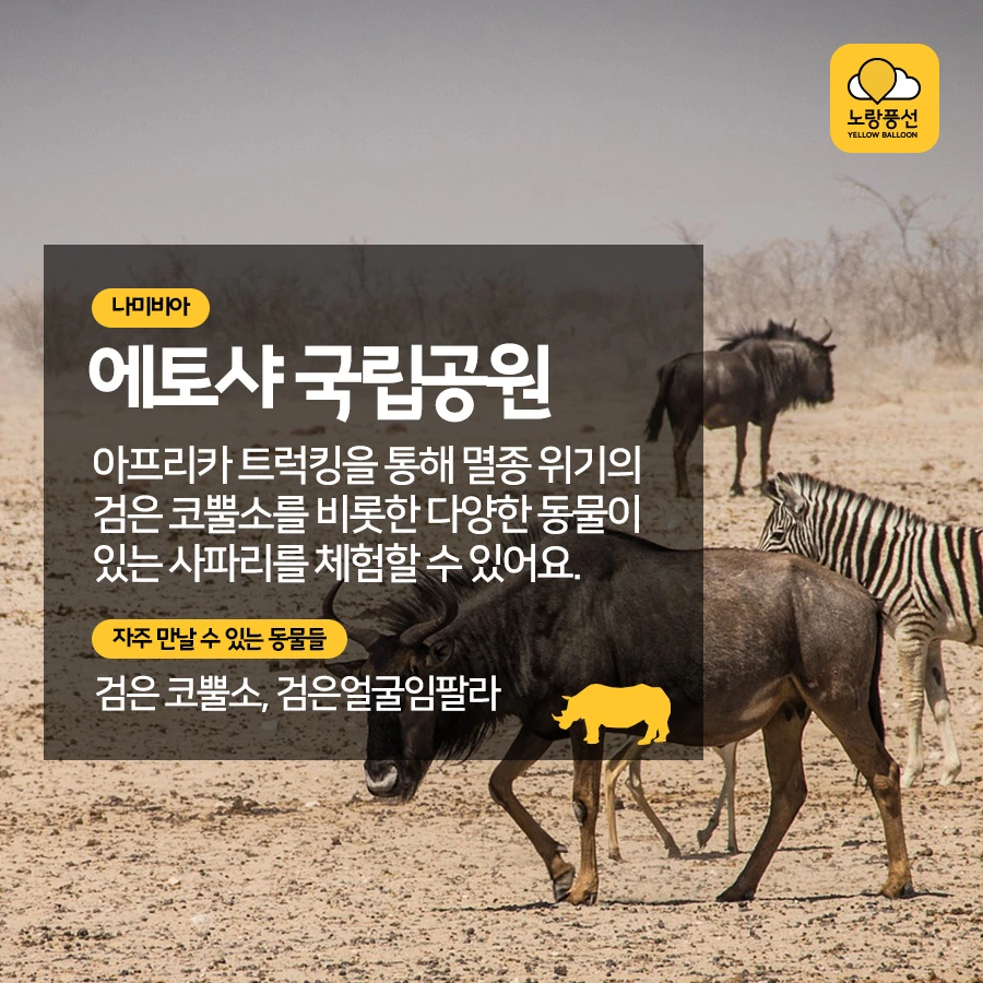 PlayD_%EB%85%B8%EB%9E%91%ED%92%8D%EC%84%A0_SNS%EC%BD%98%ED%85%90%EC%B8%A01012_6.jpg?type=w966